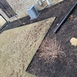 Mulch