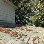 Roof Cleaning Service