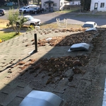 Roof Cleaning Service