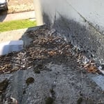 Roof Cleaning Service