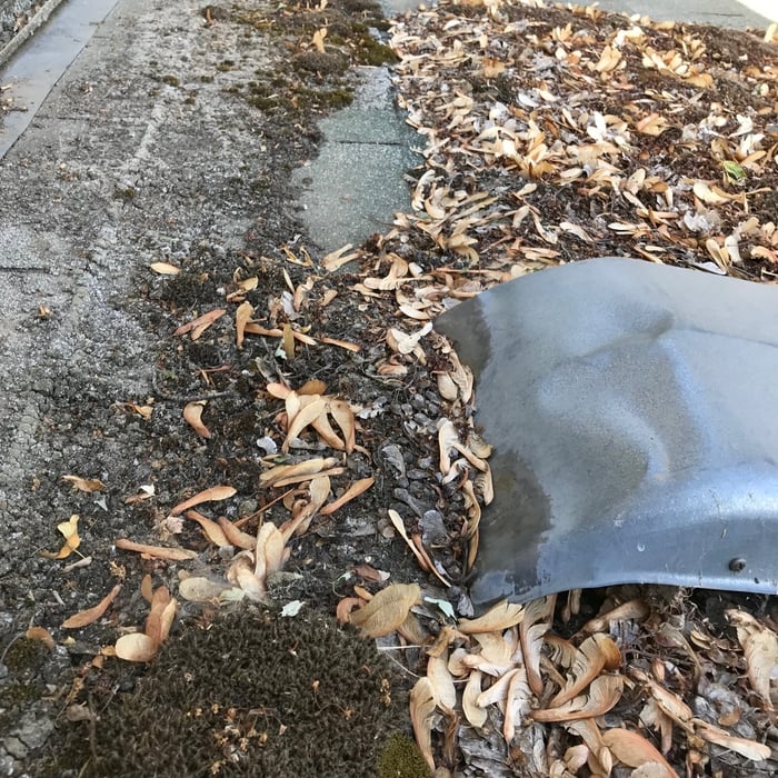 Roof Cleaning Service