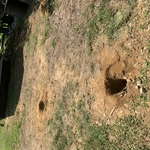 Post Holes
