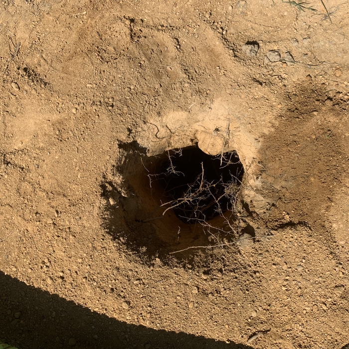 Post holes