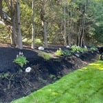 Lawn maintenance