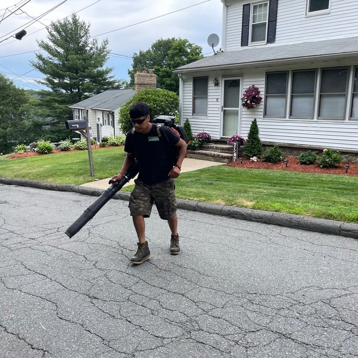 Lawn maintenance