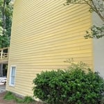 Before paint
