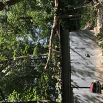 Removals and trimmings