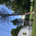 Removals and trimmings