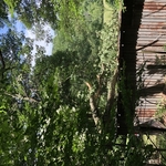 Removals and trimmings