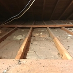 Attic Old Insulation