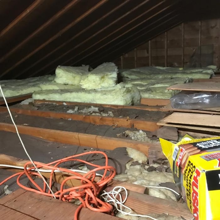 Attic Old Insulation