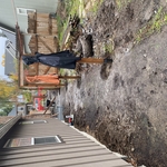 Removal of old fence and new posts