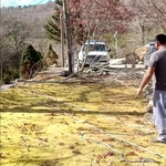 AFTER MATH OF LIMB BEING CUT