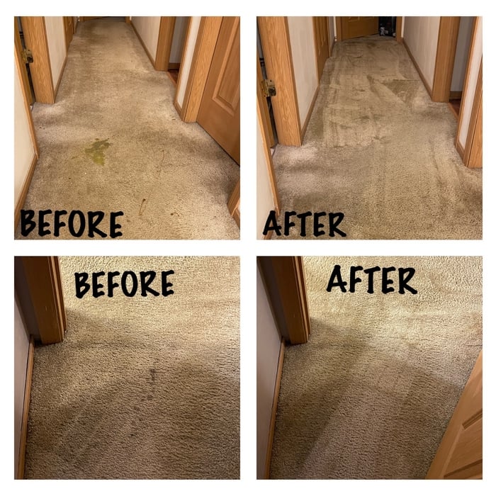 Interior Home/Building Carpet Clean