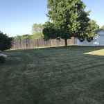Lawn Maintenance