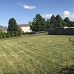 After mowing