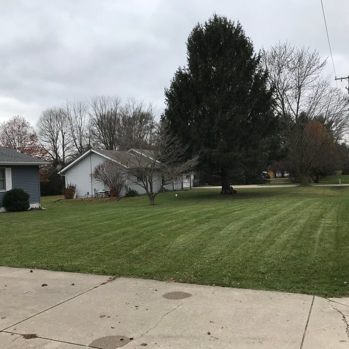Goshen Leaf Removal