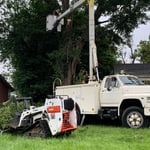 Tree Removal