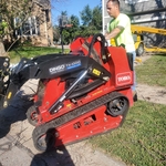 Ash Tree Removal