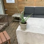Deck / furniture