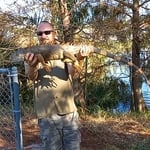 Iguana Removal