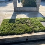 Spot repair of area drain.