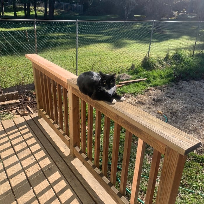 He Likes it