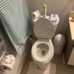 clean and organized toilettes