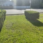 Mow trim edge bush trimmi