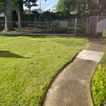 Mow trim edge bush trimmi