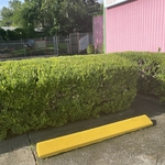 Mow trim edge bush trimmi