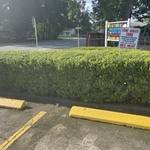 Mow trim edge bush trimmi