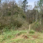 Gainesville, GA