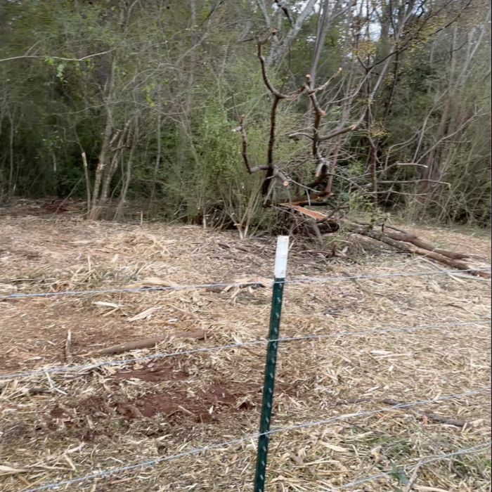Gainesville, GA