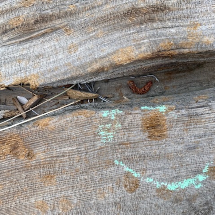 Wood Shake