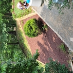 Mulching