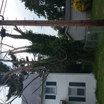 Before