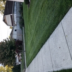 Mowing