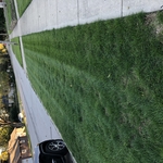 Kline Landscaping