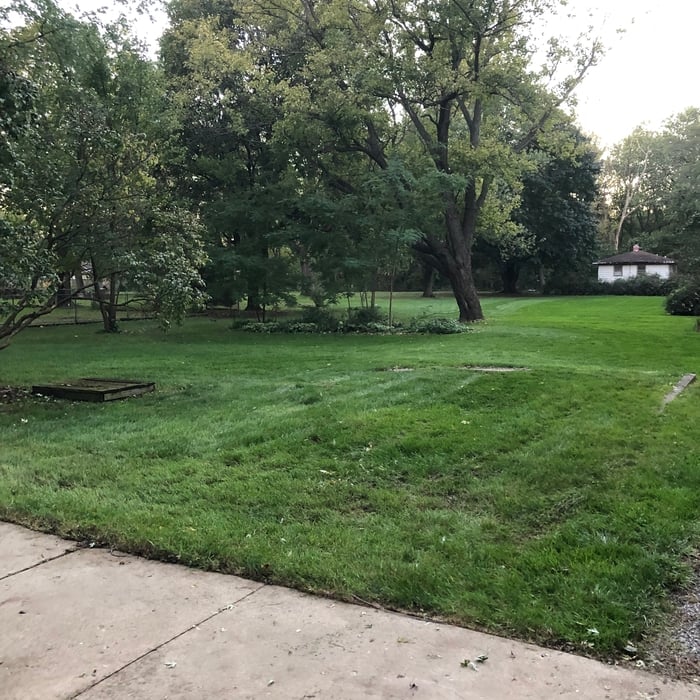 Mowing