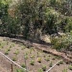 Hill side sprinkler system installation