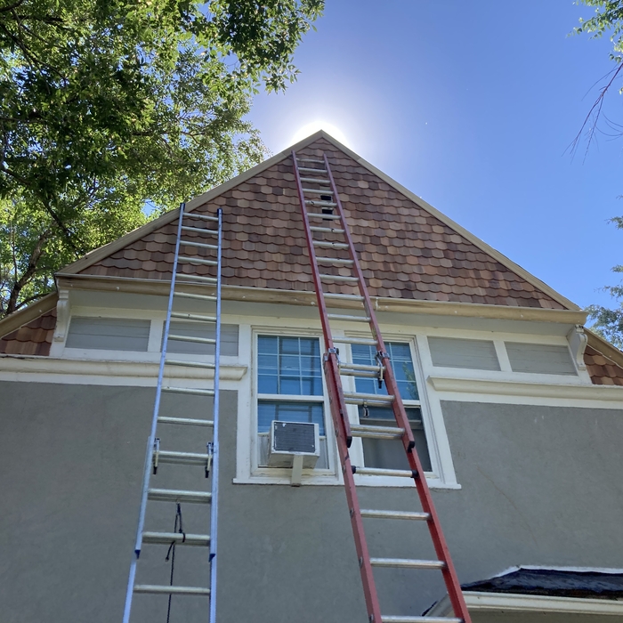 Cedar fishscale shakes and new fascia