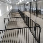 Indoor Livestock Rails/ Fences