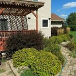 Softscape refurbish