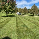 Mowing