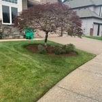 Trimming/ clean ups!