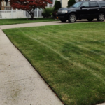Mowing, edging, trimming