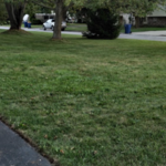 Mowing, edging, trimming