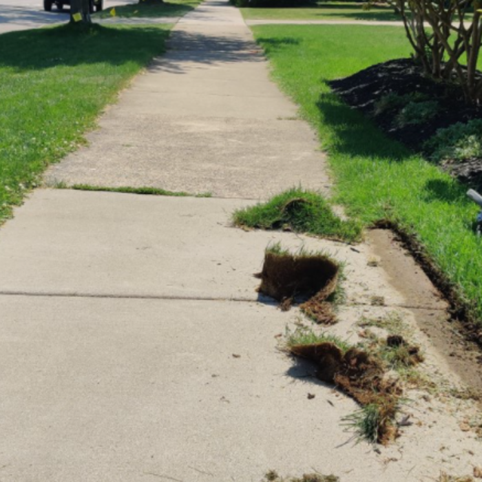 Mowing, edging, trimming