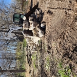 My jobs